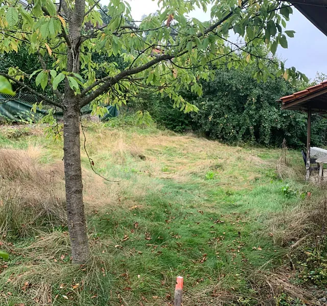 Döttingen 2 Eigentumswohnungen - Hof