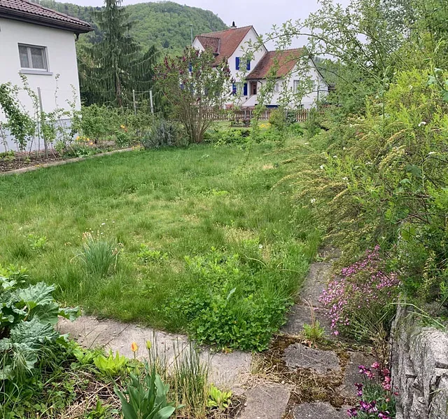 Leibstadt Ölhof - Hof